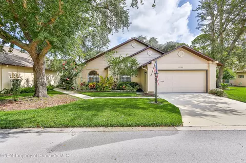 6803 Plumleaf Ct, Spring Hill, FL 34606 photo 37