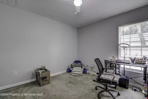 4107 Windota, Spring Hill, FL 34606 photo 32