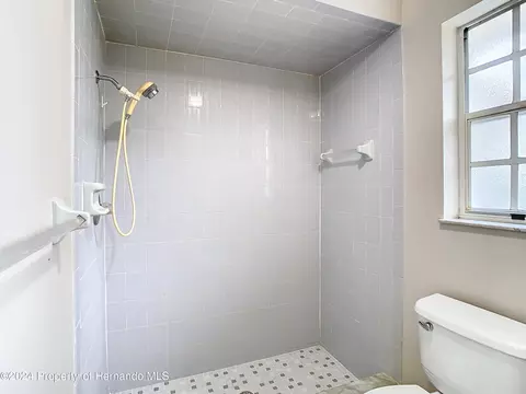 13296 Drayton, Spring Hill, FL 34609 photo 32