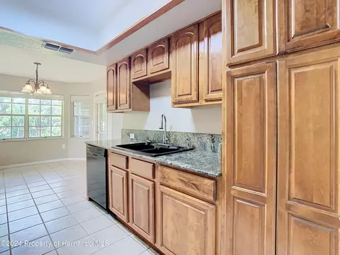 13296 Drayton, Spring Hill, FL 34609 photo 20