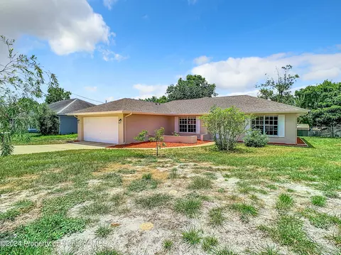 13296 Drayton, Spring Hill, FL 34609 photo 5