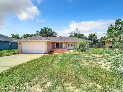 13296 Drayton, Spring Hill, FL 34609 photo 3
