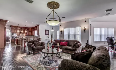 1123 Aladdin, Spring Hill, FL 34609 photo 28