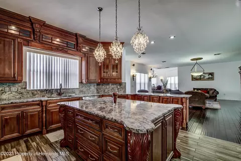1123 Aladdin, Spring Hill, FL 34609 photo 22