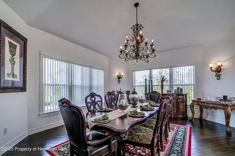 1123 Aladdin, Spring Hill, FL 34609 photo 35