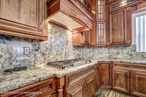 1123 Aladdin, Spring Hill, FL 34609 photo 24