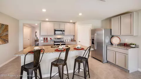 3118 Windbrook Ave, Spring Hill, FL 34608 photo 3