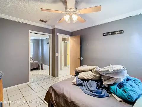 5280 Abagail Dr, Spring Hill, FL 34608 photo 34