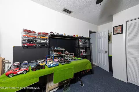 3172 Greynolds Ave, Spring Hill, FL 34608 photo 20