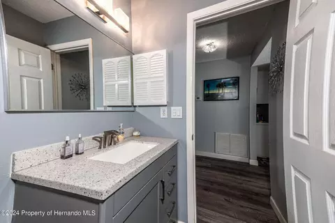 3172 Greynolds Ave, Spring Hill, FL 34608 photo 16