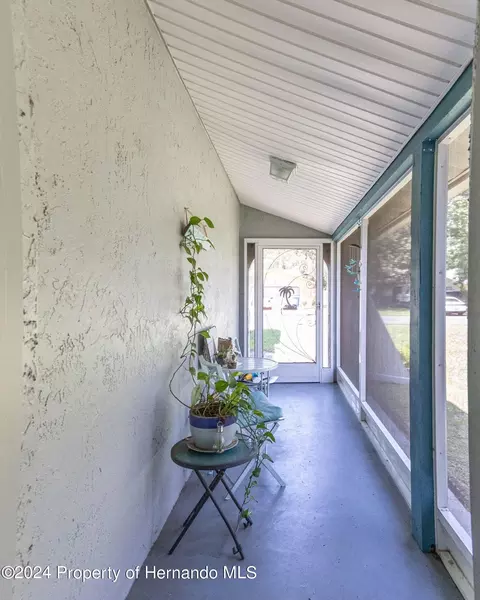 3172 Greynolds Ave, Spring Hill, FL 34608 photo 4