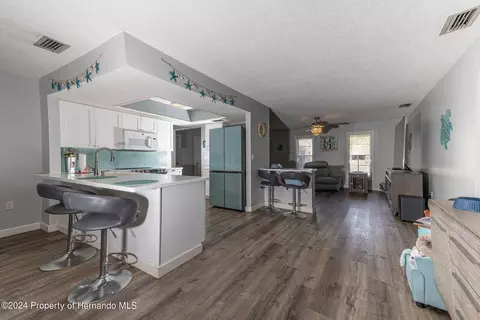 3172 Greynolds Ave, Spring Hill, FL 34608 photo 7