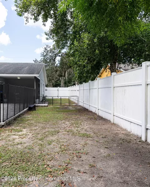 3172 Greynolds Ave, Spring Hill, FL 34608 photo 35