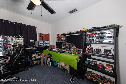3172 Greynolds Ave, Spring Hill, FL 34608 photo 21
