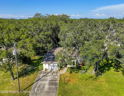 6315 Newmark St, Spring Hill, FL 34606 photo 46