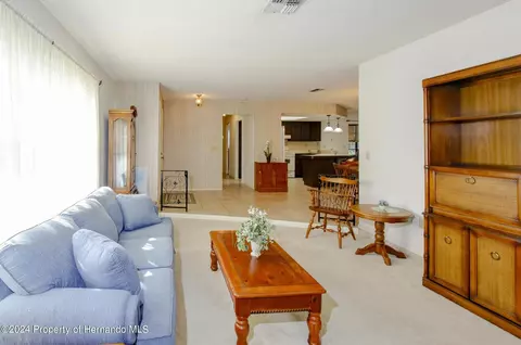 6315 Newmark St, Spring Hill, FL 34606 photo 10