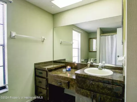 6315 Newmark St, Spring Hill, FL 34606 photo 34