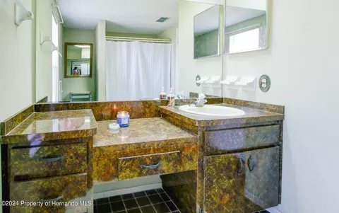 6315 Newmark St, Spring Hill, FL 34606 photo 29