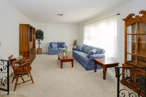 6315 Newmark St, Spring Hill, FL 34606 photo 9