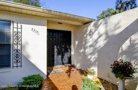 6315 Newmark St, Spring Hill, FL 34606 photo 7