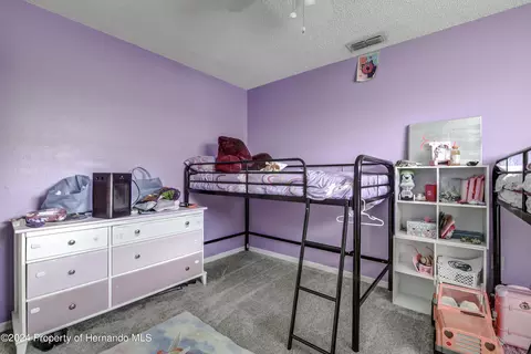 4369 Azora Rd, Spring Hill, FL 34608 photo 14