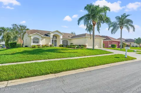 10341 Flag Rd, Spring Hill, FL 34608 photo 4