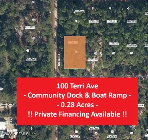 100 Terri Ave, Georgetown, FL 32139 photo 1