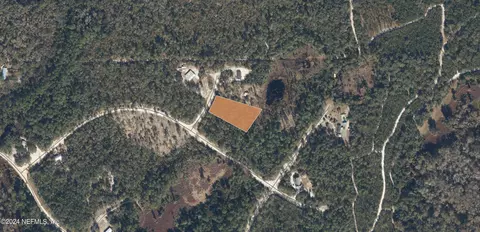 102 Oleander Ln, Georgetown, FL 32139 photo 1