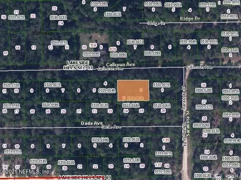 323 Calhoun Ave, Florahome, FL 32140 photo 1