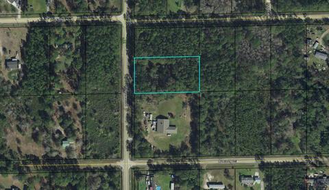 1279 Avocado Blvd, Bunnell, FL 32110 photo 1