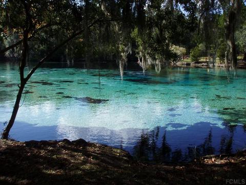 117 Chipola Dr, Georgetown, FL 32139 photo 1