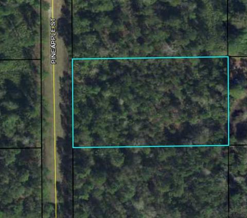 2921 Pineapple St, Bunnell, FL 32110 photo 1