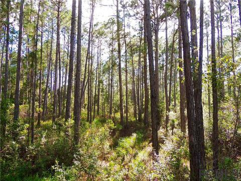 5732 Chestnut Ave, Bunnell, FL 32110 photo 1