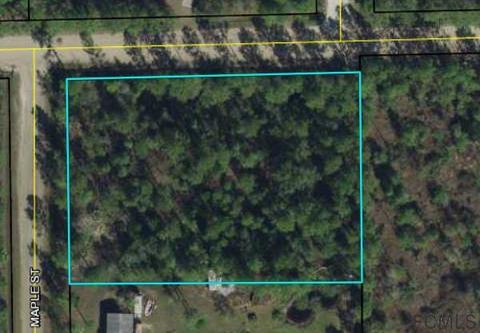 5239 Walnut Ave, Bunnell, FL 32110 photo 1