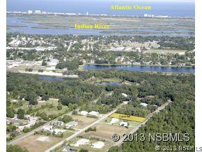 1012 Flying M Ct, Edgewater, FL 32132 photo 1