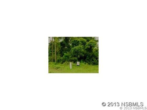 2630 Sabal Palm Dr, Edgewater, FL 32141 photo 1
