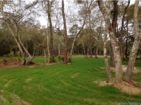 3101 Citrus Dr, Edgewater, FL 32141 photo 1
