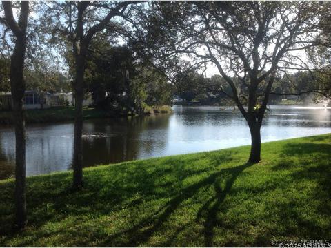 315 Portside Ln, Edgewater, FL 32141 photo 1
