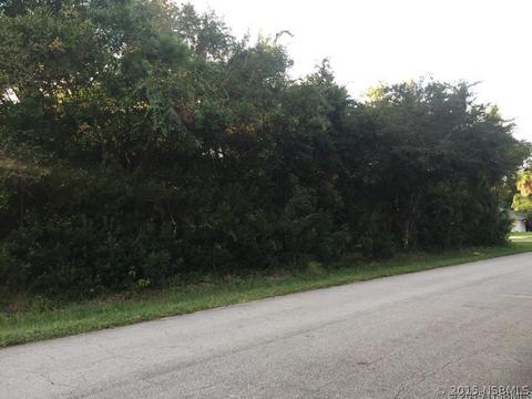 3230 India Palm Dr, Edgewater, FL 32141 photo 1