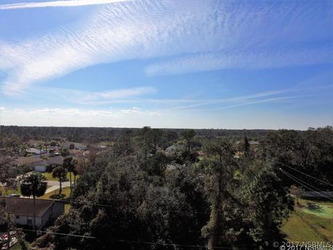 2000 Umbrella Tree Dr, Edgewater, FL 32141 photo 1
