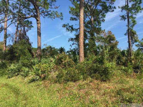 3317 Unity Tree Dr, Edgewater, FL 32141 photo 1