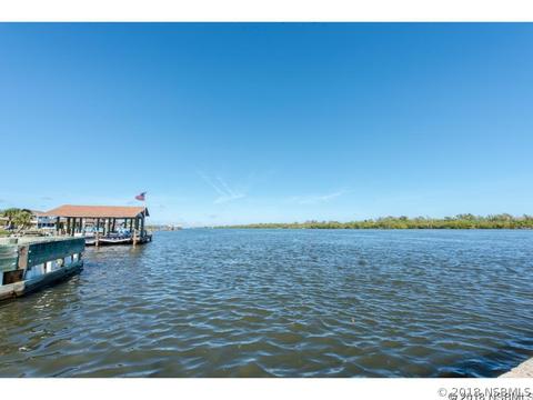 2203 South Ridgewood Avenue, Edgewater, FL 32141 photo 1