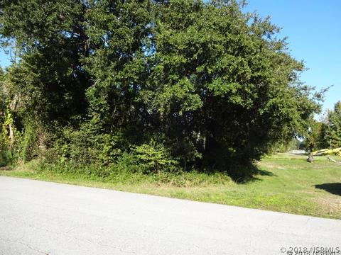 2029 Umbrella Tree Dr, Edgewater, FL 32141 photo 1