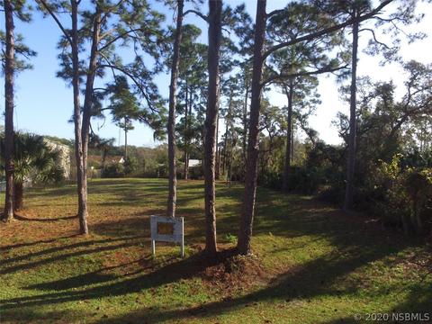 2743 Guava Dr, Edgewater, FL 32141 photo 1