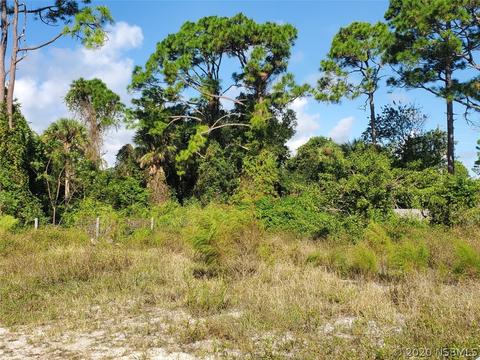 293 Adams Rd, Edgewater, FL 32141 photo 1