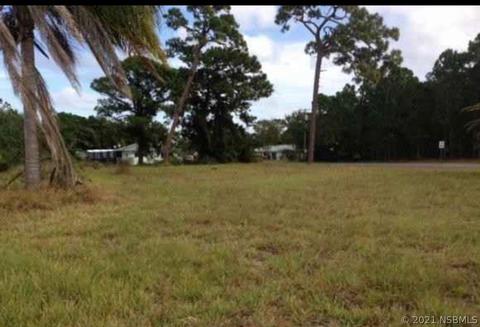 103 Palm Breeze Dr, Edgewater, FL 32141 photo 1