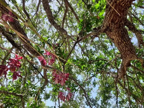 Other - 4081 SE Newton St, Stuart, FL 34997 photo 9 of 13