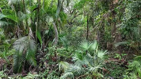 Other - 0 NW Egret Ct, Stuart, FL 34994 photo 5 of 10