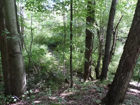 10160 Mohawk Rd, Cranesville, PA 16410 photo 3