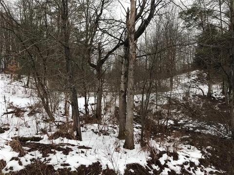 Plank Road, Corry, PA 16407 photo 7